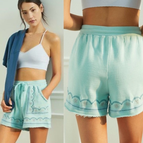 Anthropologie Pants - Anthropologie Marka Embroidered Shorts